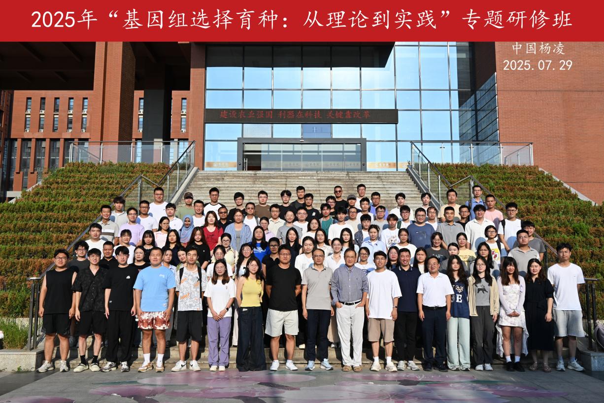 研修班合影.jpg